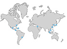 World Map